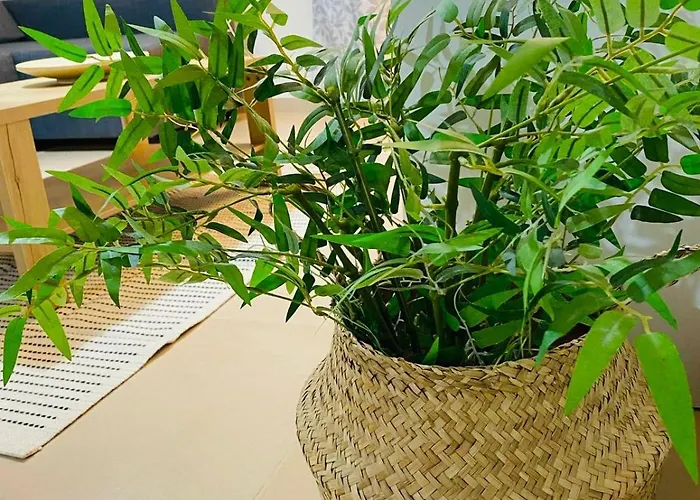 Tersefanou Traditional Village Διαμέρισμα